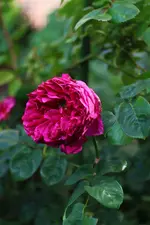 0M3A8819.webp