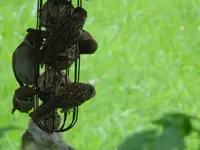 DSC00291.webp
