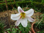 DSC00311.JPG