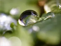 image001.webp