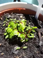 threema-20190530-135135-01f864bc4bc7df22.jpg
