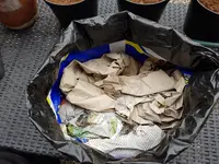 20190530_134708.webp