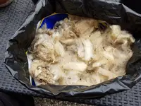 20190530_134749.webp