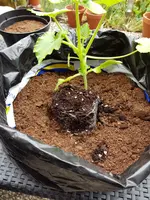 20190530_135023.webp