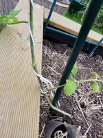 20190530_134026.webp