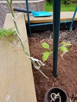 20190530_134335.webp