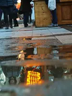 0M3A3346.webp