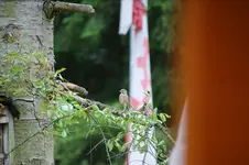 DSC07737.webp