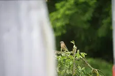 DSC07738.webp
