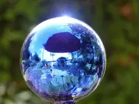 image001.webp