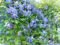 DSCF2192 (2).webp
