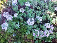 DSCF2185 (2).webp
