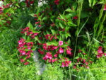 DSC00314.JPG
