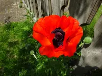 DSC00312.JPG
