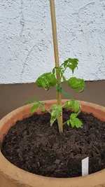 20190531_131541.webp