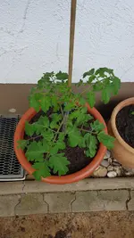 20190531_131600.webp