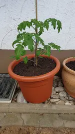 20190531_131603.webp