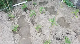 20190531_143447.webp