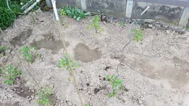 20190531_143450.webp