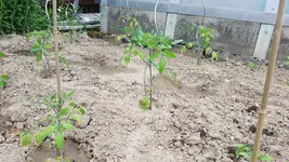 20190531_143505.webp