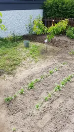 20190531_131344.webp