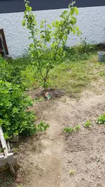 20190531_131348.webp
