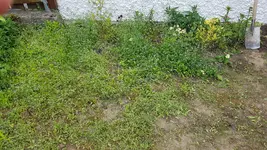 20190531_143427.webp