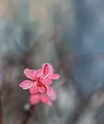 0M3A3374.webp