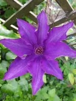 20190531_182605.webp