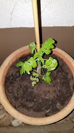 20190601_004252.webp
