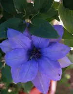 2019clmts01.webp