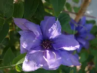 2019clmts02.webp
