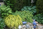 Juni  0119.JPG