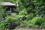 Juni  0719.JPG