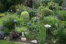 Juni  0919.webp