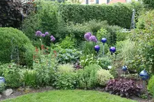 Juni  1019.webp