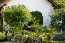 Terasse   0919.webp