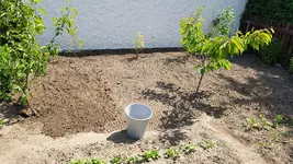 20190601_150032.webp