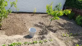 20190601_150036.webp