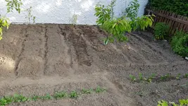 20190601_183457.webp