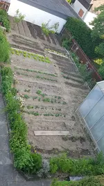 20190601_194358.webp