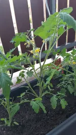 20190601_194504.webp