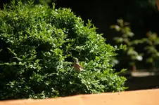 DSC07767.webp
