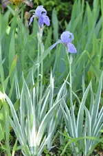 DSC_0014.webp