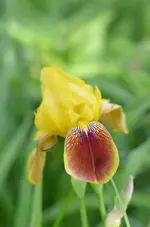 DSC_0017.webp
