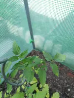 IMG_20190529_185403.webp