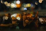 chönes bokeh.JPG