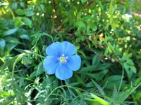 DSCF2207 (2).webp