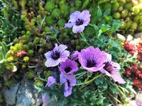 DSCF2228 (2).webp