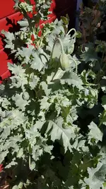 20190602_100145.webp